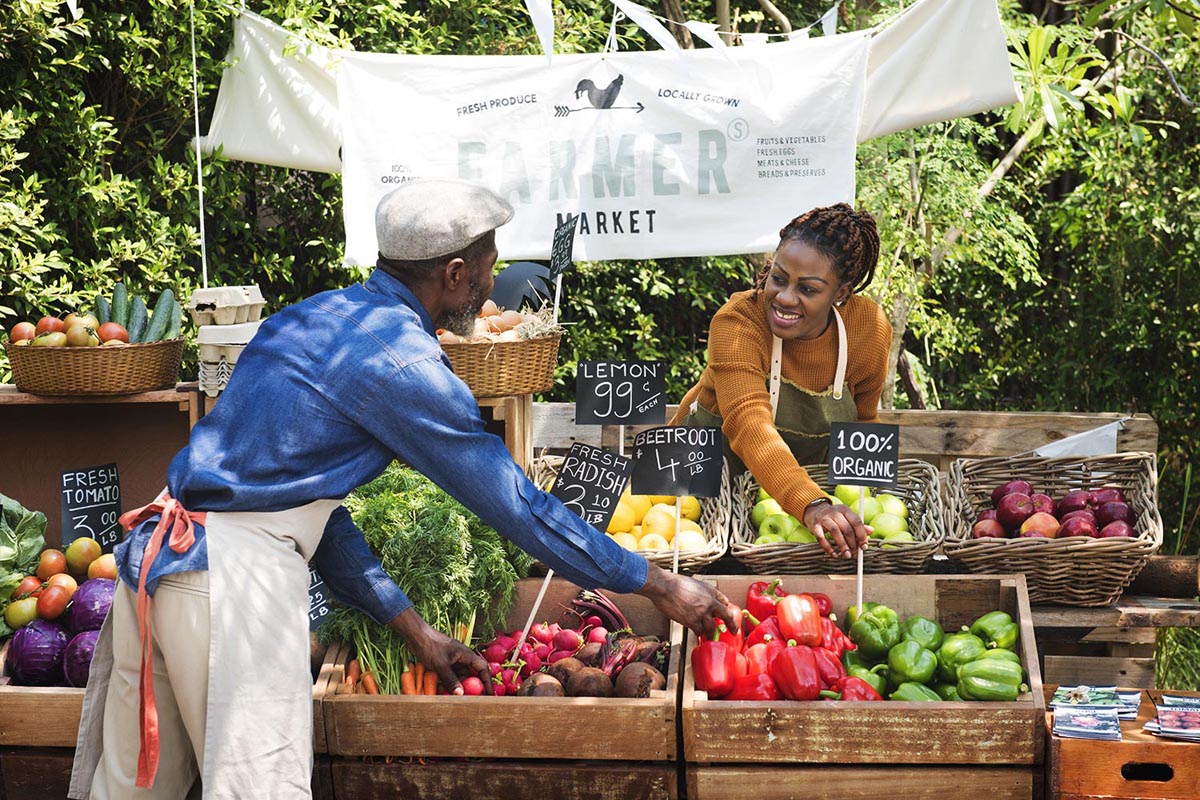 Greengrocer preparing organic fresh agricultural product at farmer market