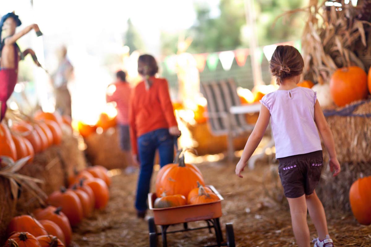 Young girls pulling a wagon filled with pumpkins