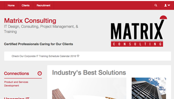 matrix consulting